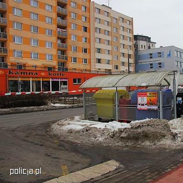 Czescy policjanci proszą o pomoc w ustaleniu okoliczności śmierci noworodka, którego ciało znaleziono w kontenerze na śmieci